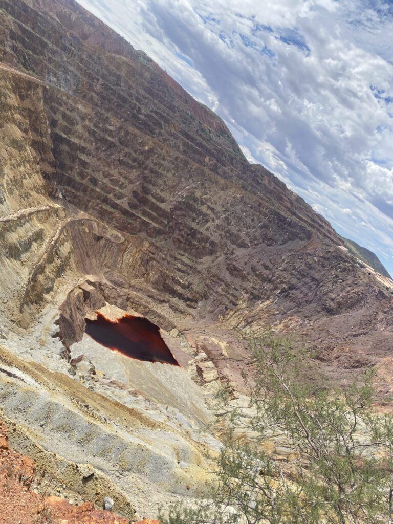 Photo of Lavender Mine