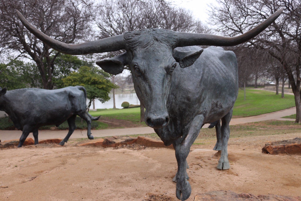 Waco! The Heart of Texas Travel Guide: Things to Do and Explore in the Central Texas